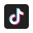 TikTok downloader
